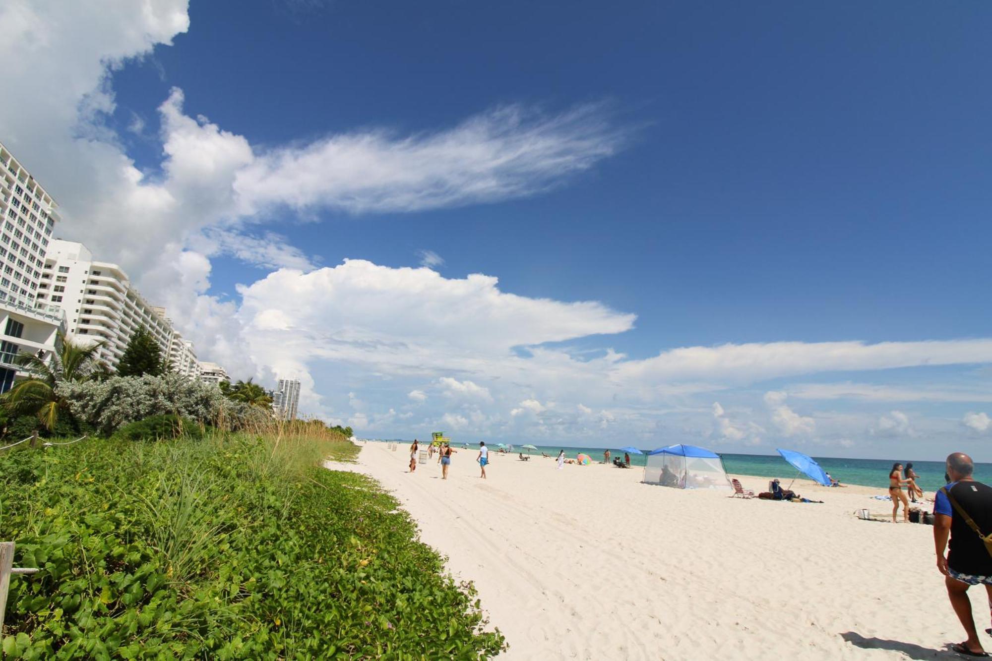 Castle 835 Oceanview Studio On Beach With Pool, Gym, Bars, And Free Parking Miami Beach Zewnętrze zdjęcie